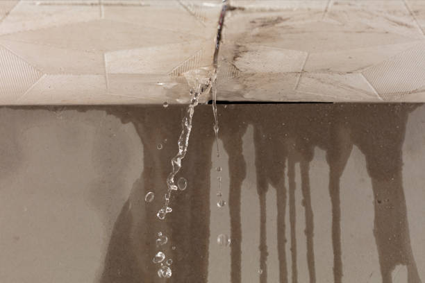 Professional Structural Drying technician working in Athens, WV
